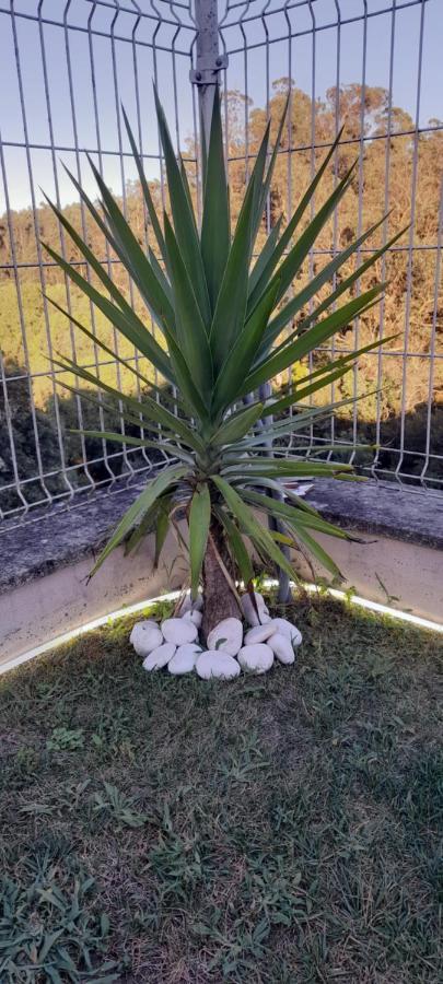 Casa Monte Beira Rio Villa Touguinho Dış mekan fotoğraf